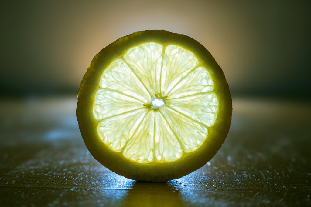 Hintergrundbeleuchtete Zitronenscheibe zeigt radiale Symmetrie und Zellstrukturen.