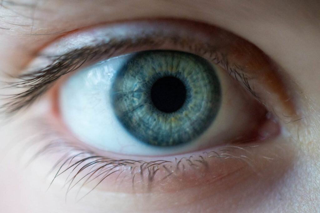 Nahaufnahme eines menschlichen Auges mit blau-grüner Iris und schwarzer Pupille. Die feinen Details der Irisstruktur sind deutlich sichtbar, ebenso wie die Wimpern und die Haut um das Auge.