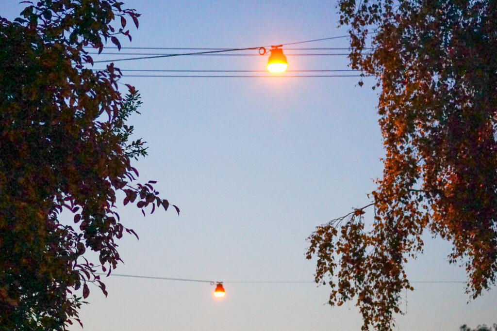 Zwei leuchtende Straßenlampen hängen zwischen Bäumen bei einsetzender Dunkelheit.