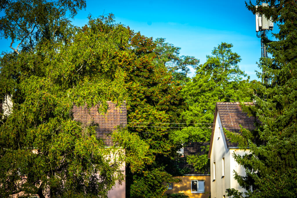 Blick auf Wohnhäuser mit Ziegeldächern, umgeben von dichtem Grün unter blauem Himmel.